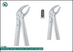 Kohler 1285 Extracting Forceps
