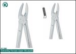 Kohler 1286 Extracting Forceps