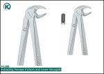 Kohler 1288 Extracting Forceps