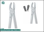Kohler 1290 Extracting Forceps