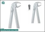 Kohler 1292 Extracting Forceps