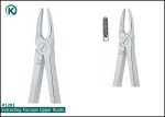 Kohler 1293 Extracting Forceps