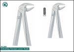 Kohler 1294 Extracting Forceps