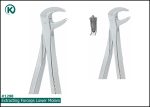 Kohler 1298 Extracting Forceps
