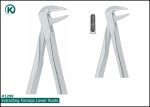 Kohler 1299 Extracting Forceps