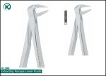 Kohler 1300 Extracting Forceps