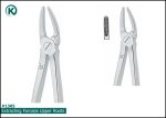 Kohler 1305 Extracting Forceps