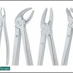 Kohler Extracting Forceps